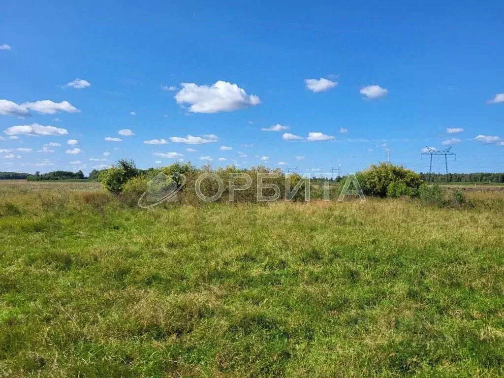 Участок в Тюменская область, Тюменский район, с. Щербак  (8.82 сот.) - Фото 1
