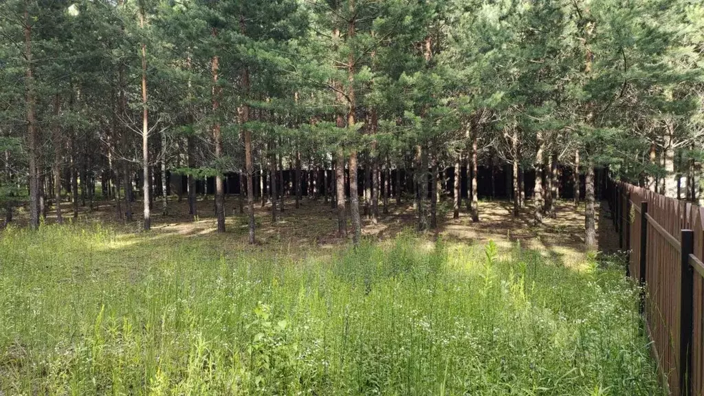 Участок в Нижегородская область, Городецкий муниципальный округ, д. ... - Фото 1