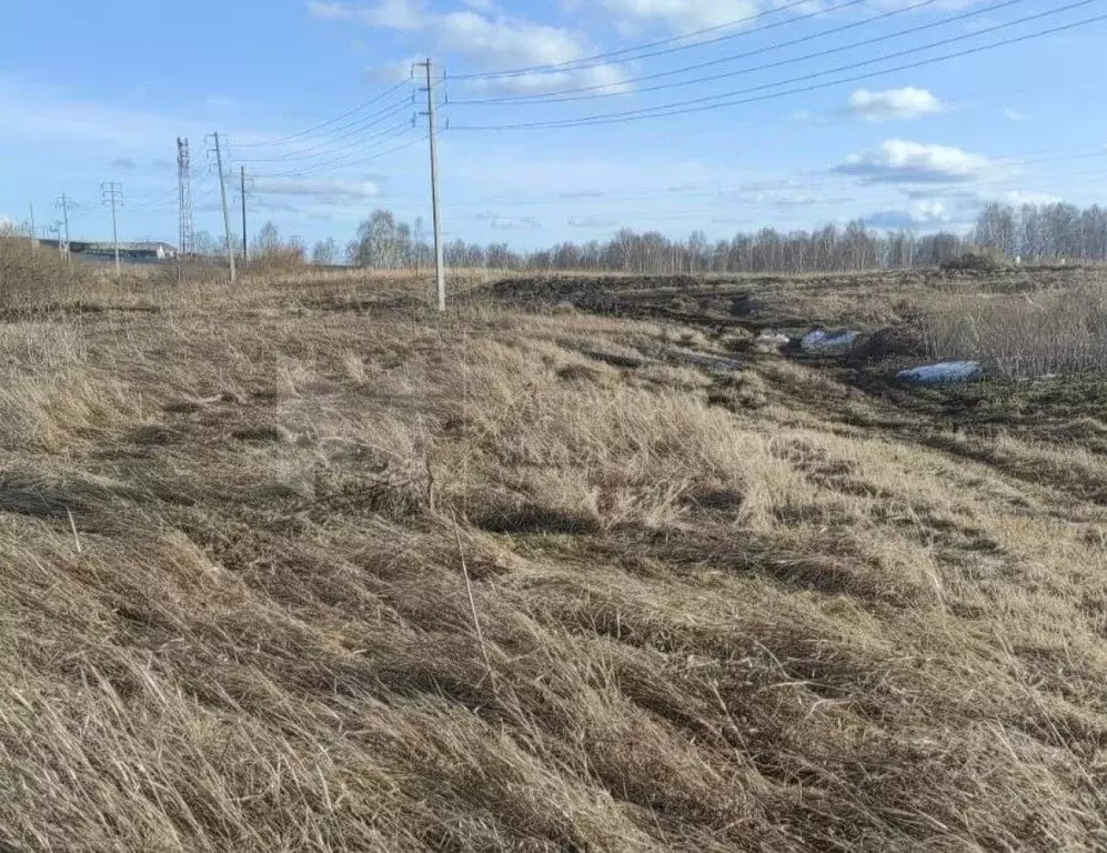 Участок в Тюменская область, Тюменский район, с. Кулаково тракт ... - Фото 0