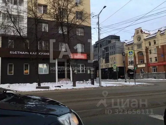 Помещение свободного назначения в Челябинская область, Челябинск ул. ... - Фото 1