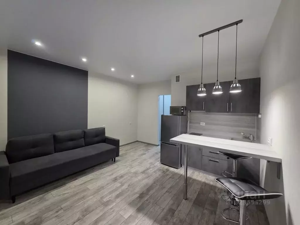 Студия Санкт-Петербург ул. Среднерогатская, 20 (27.0 м) - Фото 1