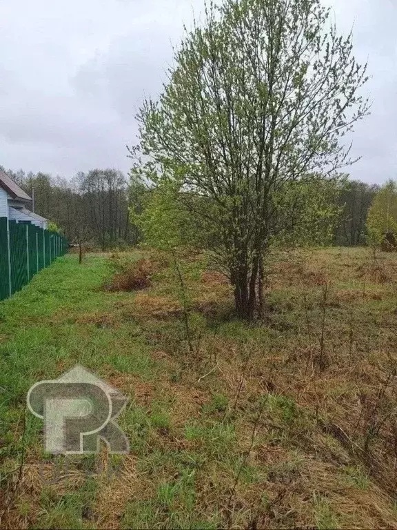 Участок в Московская область, Ступино городской округ, д. Четряково ... - Фото 2