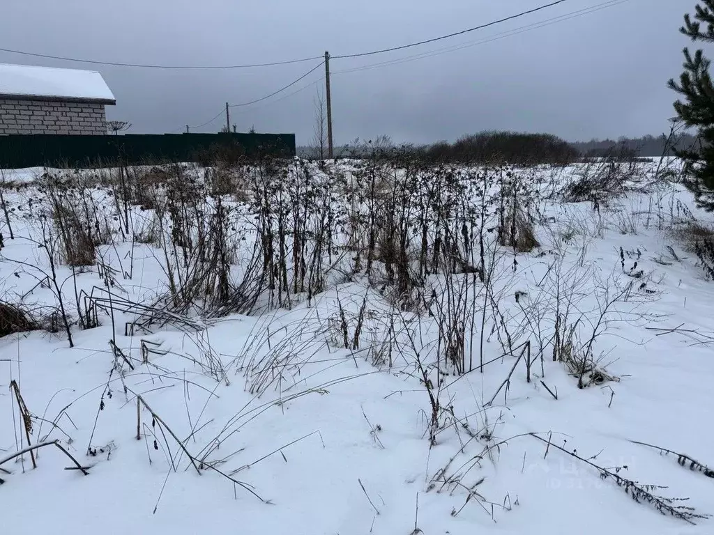 Участок в Московская область, Пушкинский городской округ, д. Никулино  ... - Фото 0
