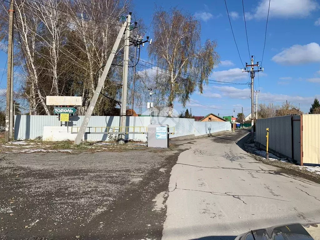 Участок в Новосибирская область, Новосибирск Тополь СНТ, 1-й сектор, 6 ... - Фото 1