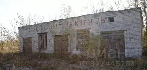 Помещение свободного назначения в Брянская область, Погарский район, ... - Фото 1
