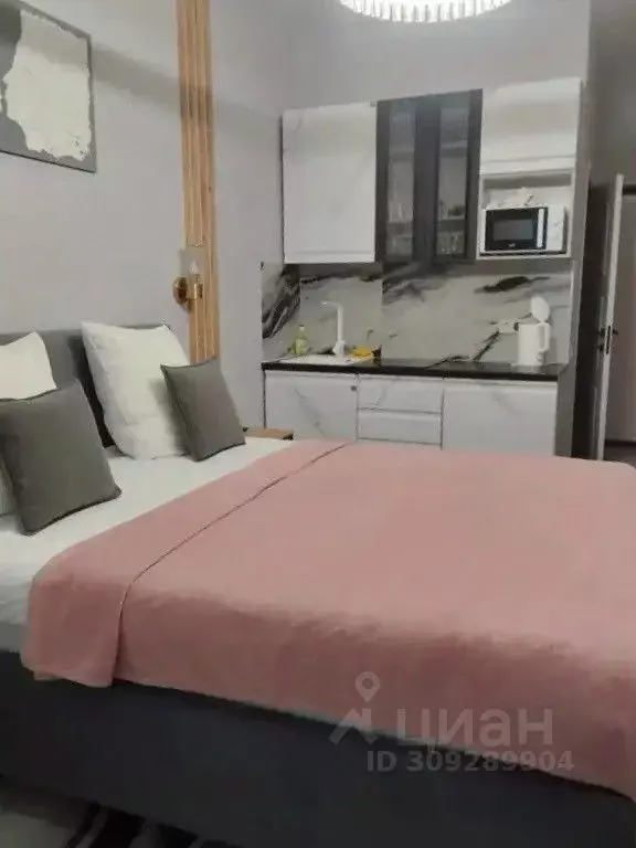 1-к кв. Краснодарский край, Сочи ул. Ленина, 290/6 (26.0 м) - Фото 1