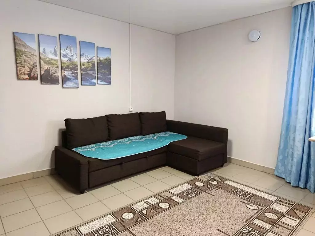 Студия Башкортостан, Кушнаренковский сельсовет, с. Кушнаренково ул. ... - Фото 1