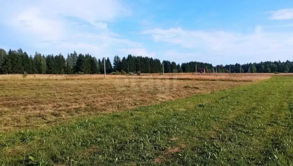 Участок в Ярославская область, Даниловский муниципальный округ, д. ... - Фото 1