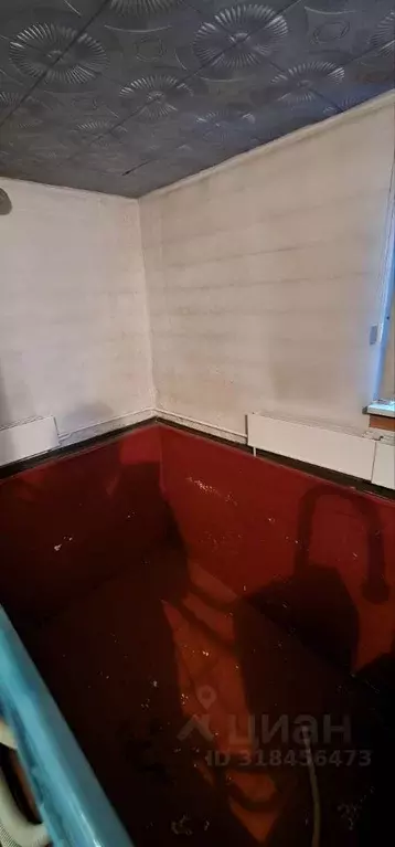 Коттедж в Кемеровская область, Мыски Цветочный пер. (254 м) - Фото 2