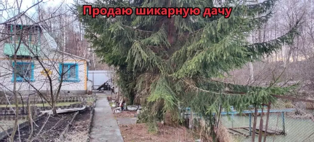 Дом в Брянская область, Брянский район, Новодарковичское с/пос, пос. ... - Фото 0