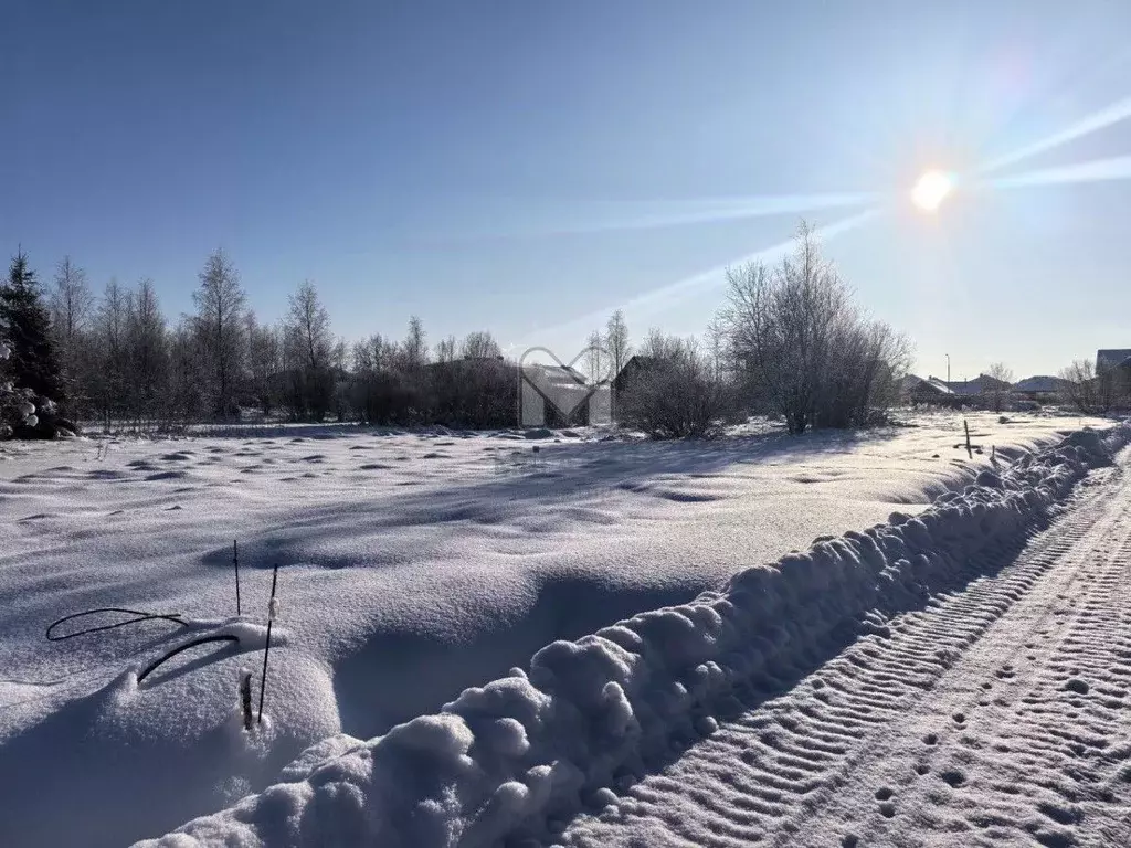 Участок в Ленинградская область, Всеволожск  (7.72 сот.) - Фото 1