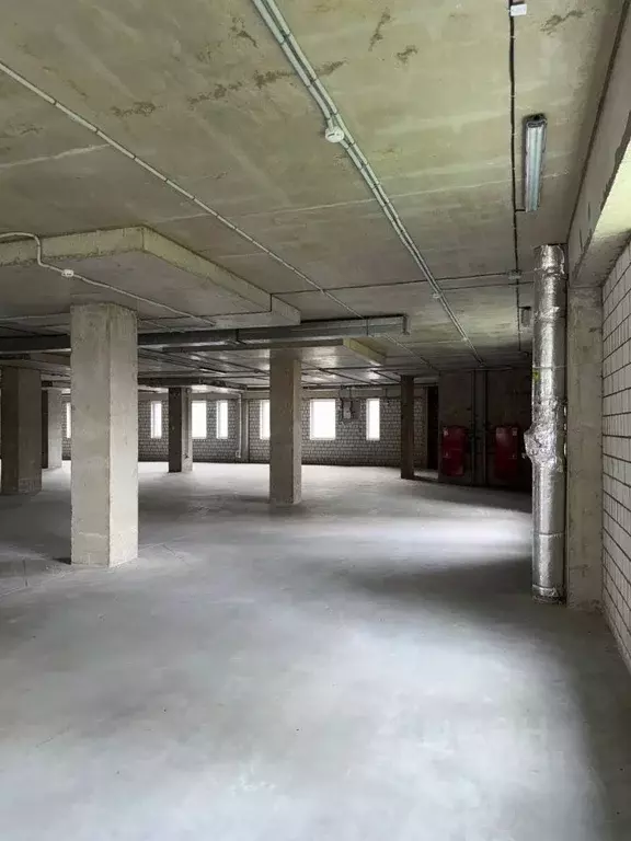 Помещение свободного назначения в Санкт-Петербург ул. Лагоды, 2 (896 ... - Фото 0