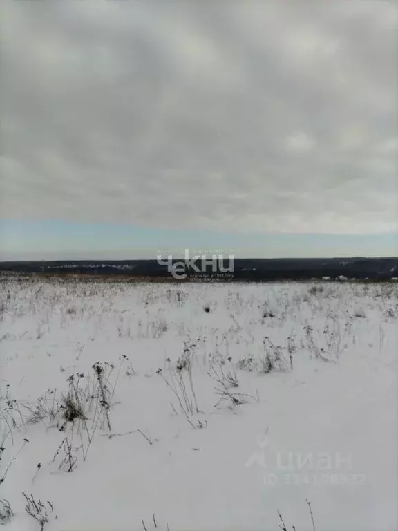 Участок в Нижегородская область, Дальнеконстантиновский муниципальный ... - Фото 0