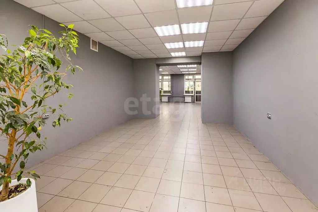 Помещение свободного назначения в Амурская область, Благовещенск ... - Фото 2