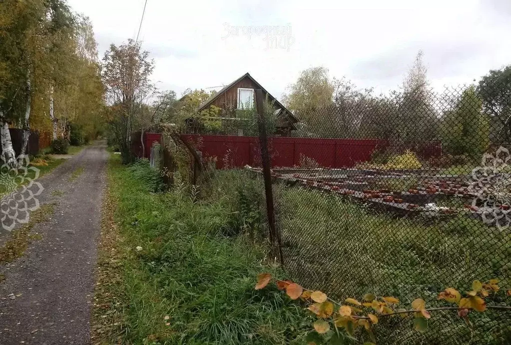 Участок в Московская область, Богородский городской округ, Горьковское ... - Фото 0