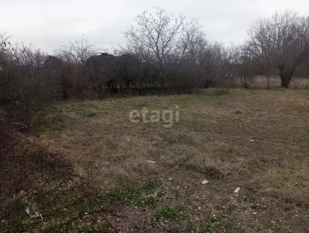 Участок в Краснодарский край, Новороссийск городской округ, Раевская ... - Фото 1