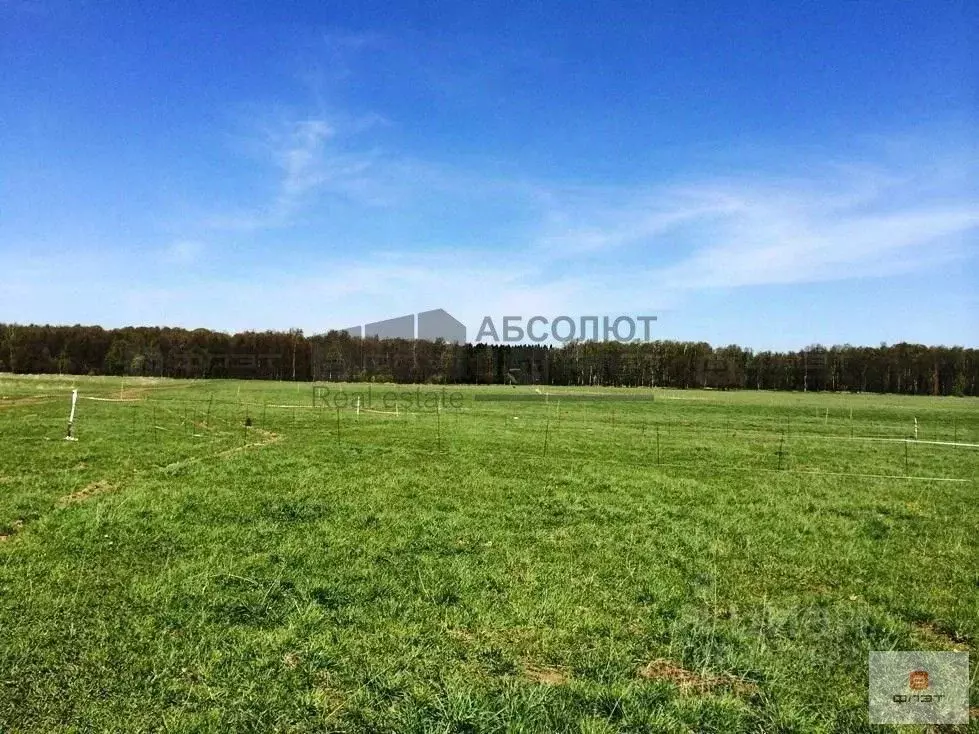 Участок в Новгородская область, Новгородский район, Ермолинское с/пос, ... - Фото 1