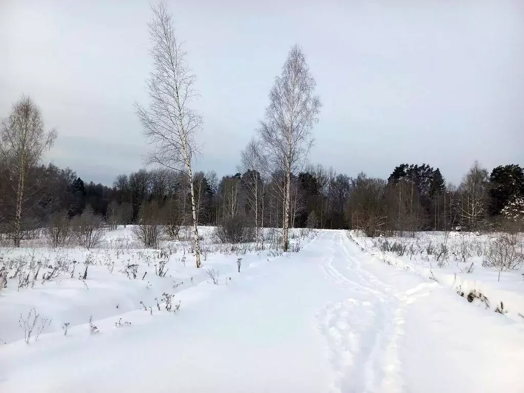 Участок в Московская область, Дмитровский городской округ, Форест Клаб ... - Фото 1