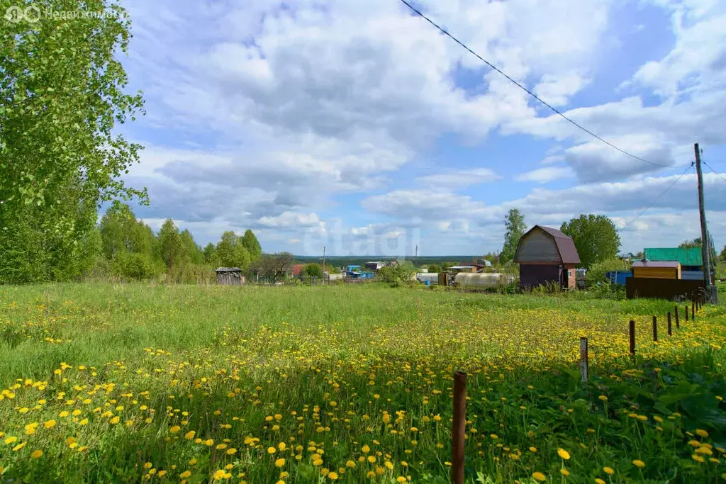 Участок в Стрежевой, СНТ Ветеран (5 м) - Фото 0