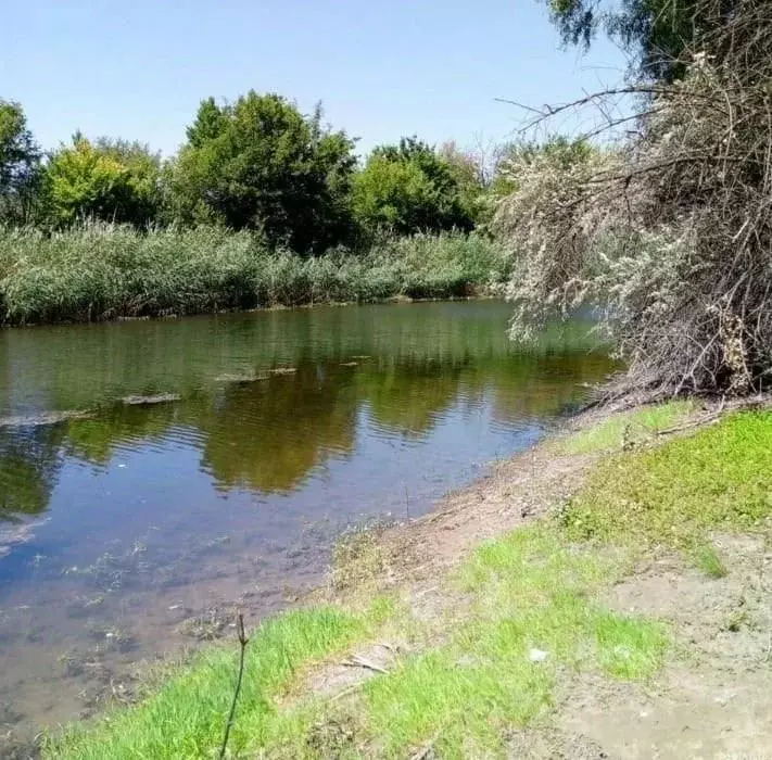 Участок в Волгоградская область, Среднеахтубинский район, Кировское ... - Фото 2