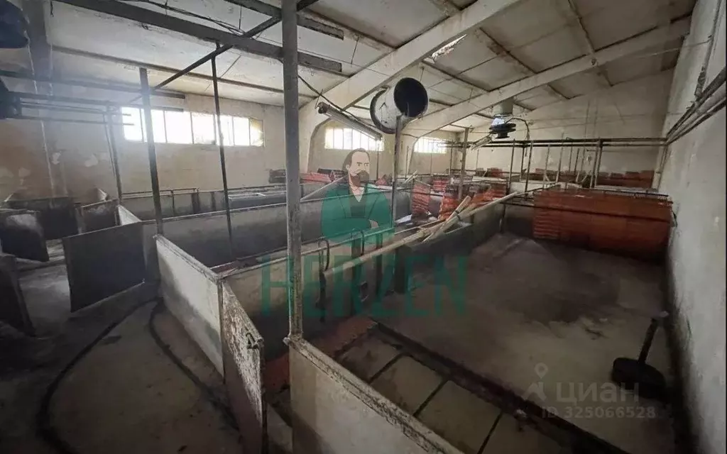 Склад в Москва д. Кузнецово,  (56000 м) - Фото 1