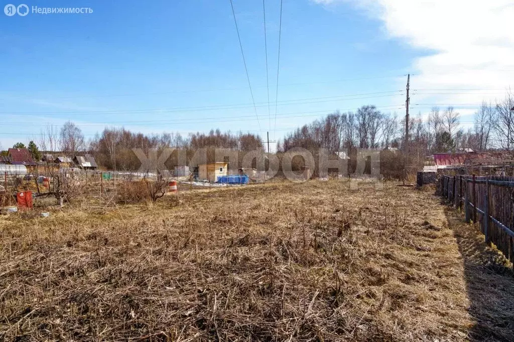 Участок в Томский район, деревня Петровский Участок, Сибирская улица ... - Фото 2