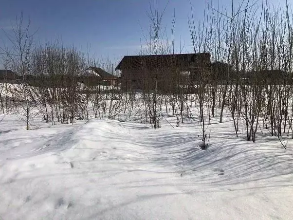 Участок в Московская область, Лосино-Петровский городской округ, ... - Фото 0