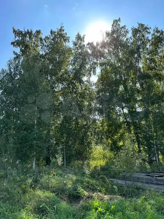 Участок 10 сот. (СНТ, ДНП) - Фото 1