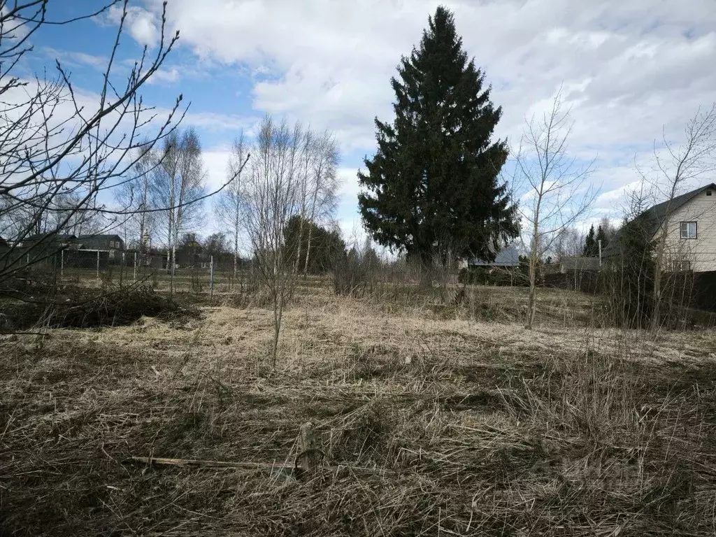 Участок в Московская область, Клин городской округ, с. Селинское  ... - Фото 1