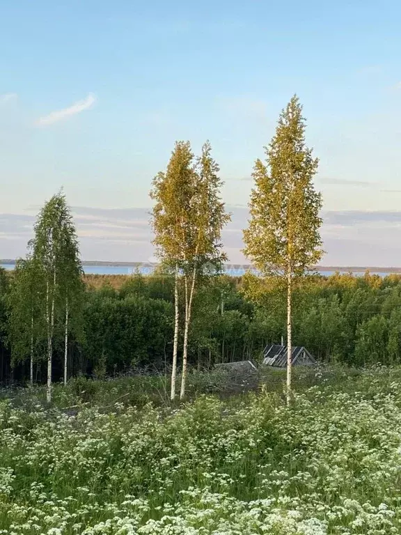 Участок в Архангельская область, Северодвинск муниципальный округ, д. ... - Фото 0