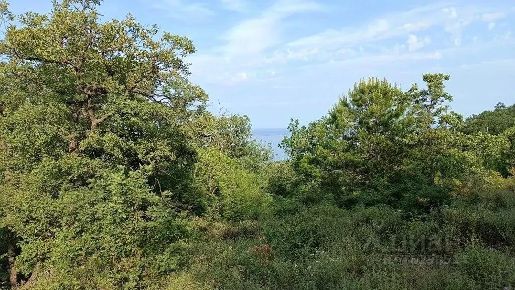 Участок в Крым, Алушта городской округ, с. Малый Маяк  (8.0 сот.) - Фото 1