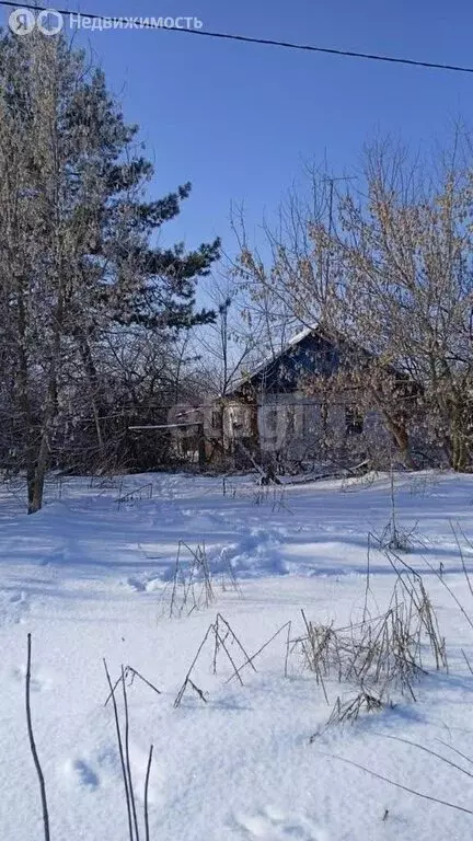 Дом в Верховский район, село Теляжье (65 м) - Фото 1