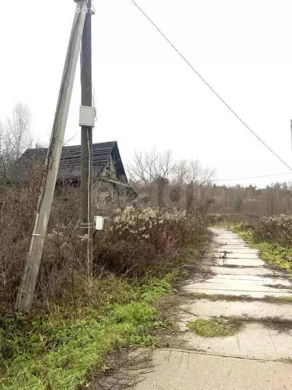 Участок в Дубна, садовое товарищество Заря-1 (12 м) - Фото 1