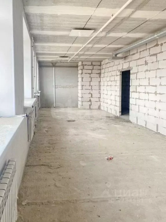 Помещение свободного назначения в Ярославская область, Ярославль ... - Фото 1