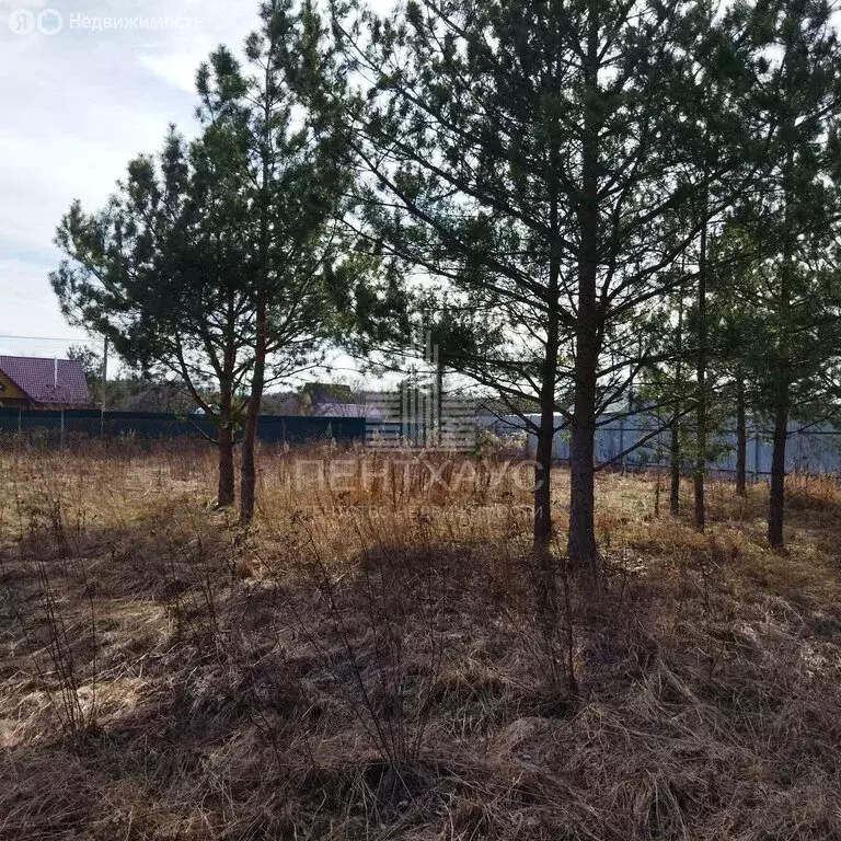 Участок в Владимирская область, Суздальский муниципальный округ, СНТ ... - Фото 1