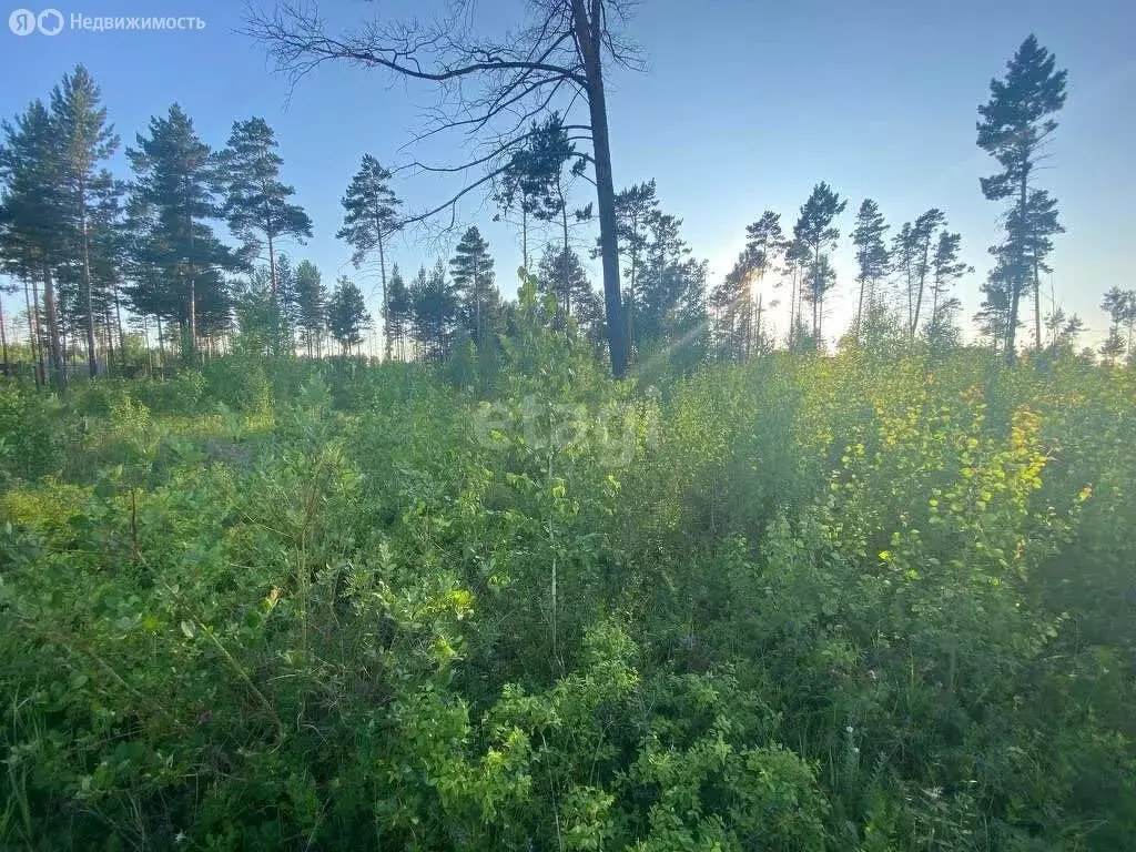 Участок в Читинский район, село Смоленка (6.8 м) - Фото 0