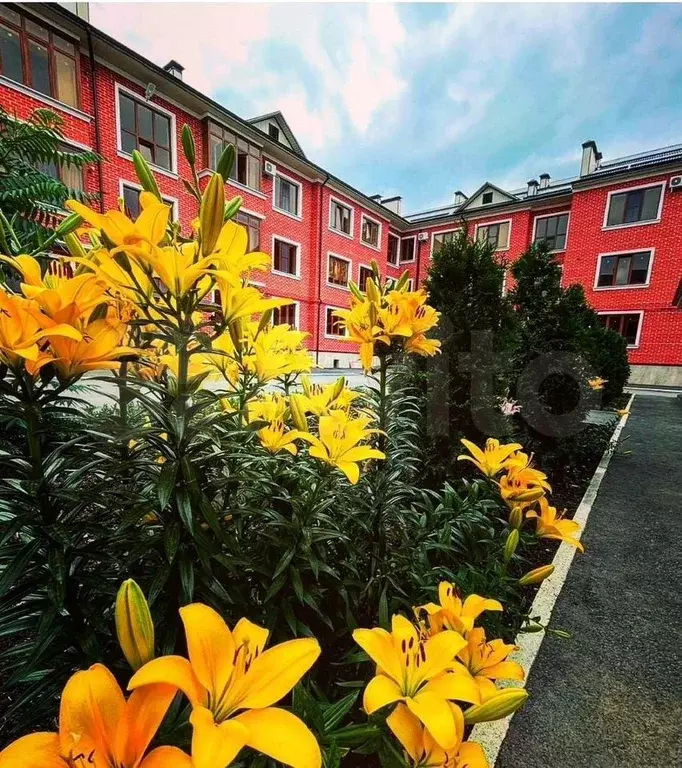 1-к. квартира, 36 м, 3/4 эт. - Фото 1