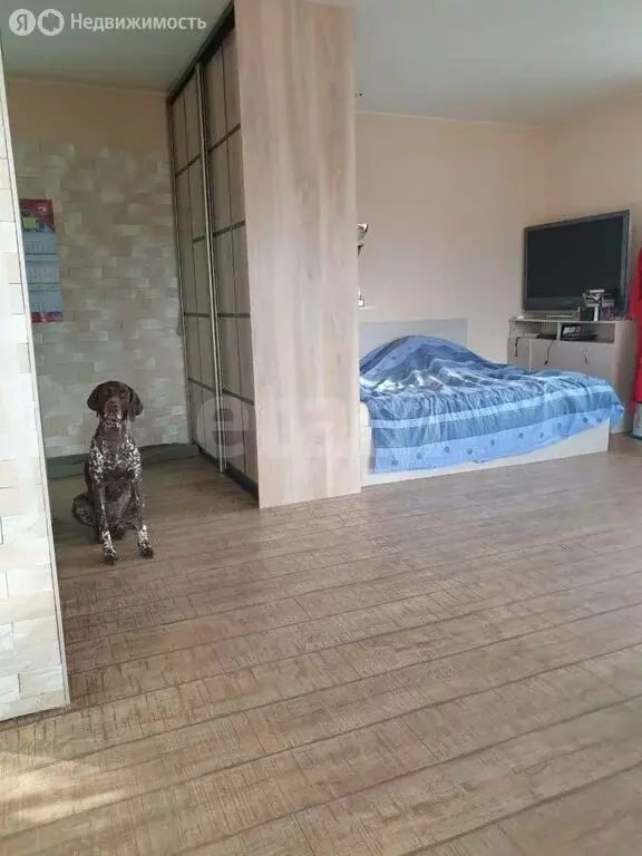 Квартира-студия: Тюмень, улица Пермякова, 24 (30.9 м) - Фото 1