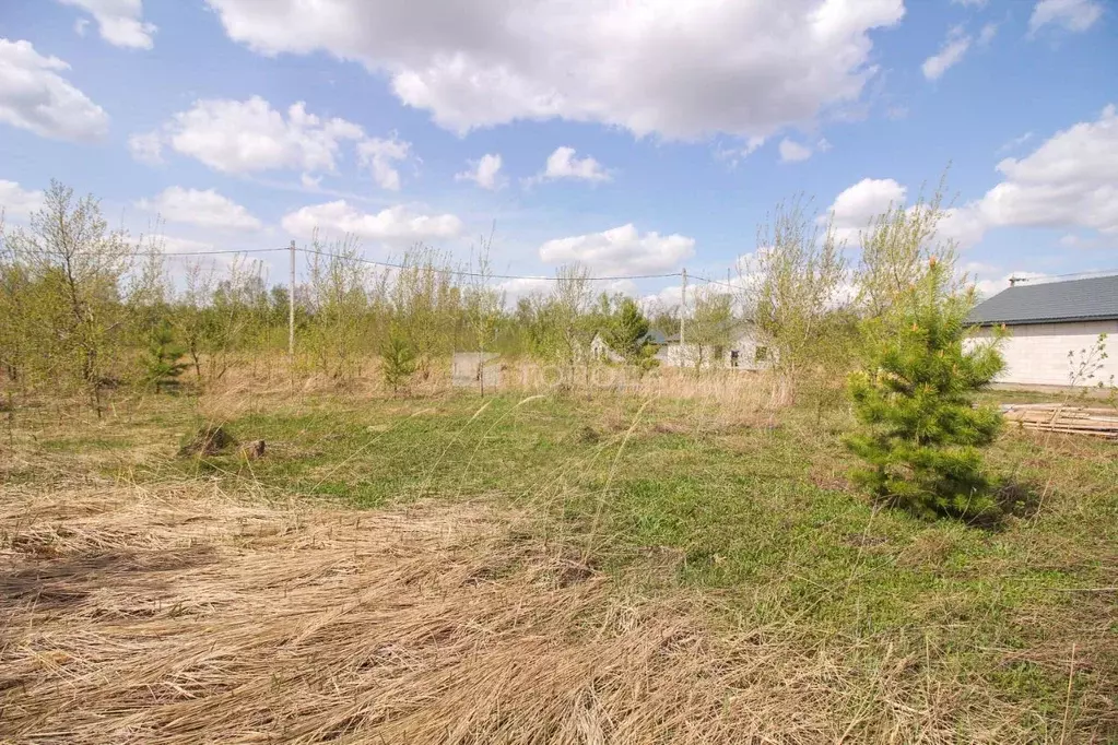 Участок в Алтайский край, Барнаул городской округ, пос. Центральный ... - Фото 0