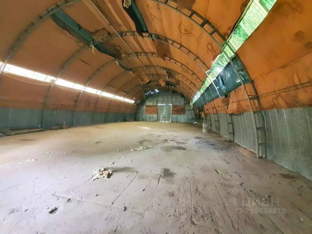 Производственное помещение в Краснодарский край, Славянский район, ... - Фото 2