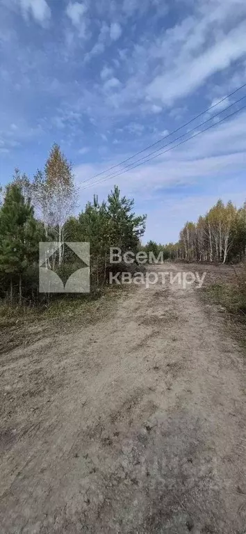 Участок в Новосибирская область, Искитимский район, с. Морозово  (16.0 ... - Фото 2