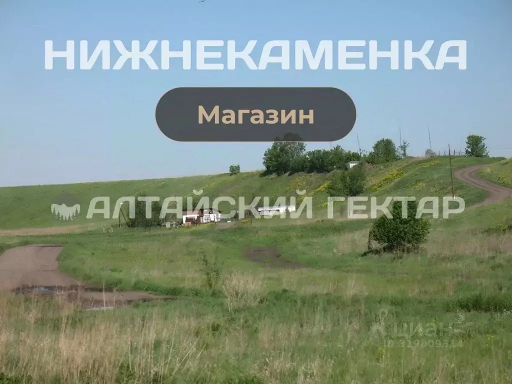 Участок в Алтайский край, Алтайский район, с. Нижнекаменка Камчатский ... - Фото 0