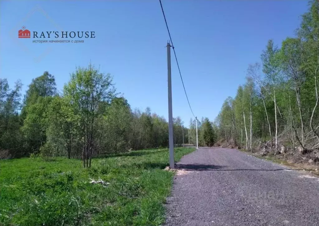 Участок в Ленинградская область, Всеволожский район, Лесколовское ... - Фото 1