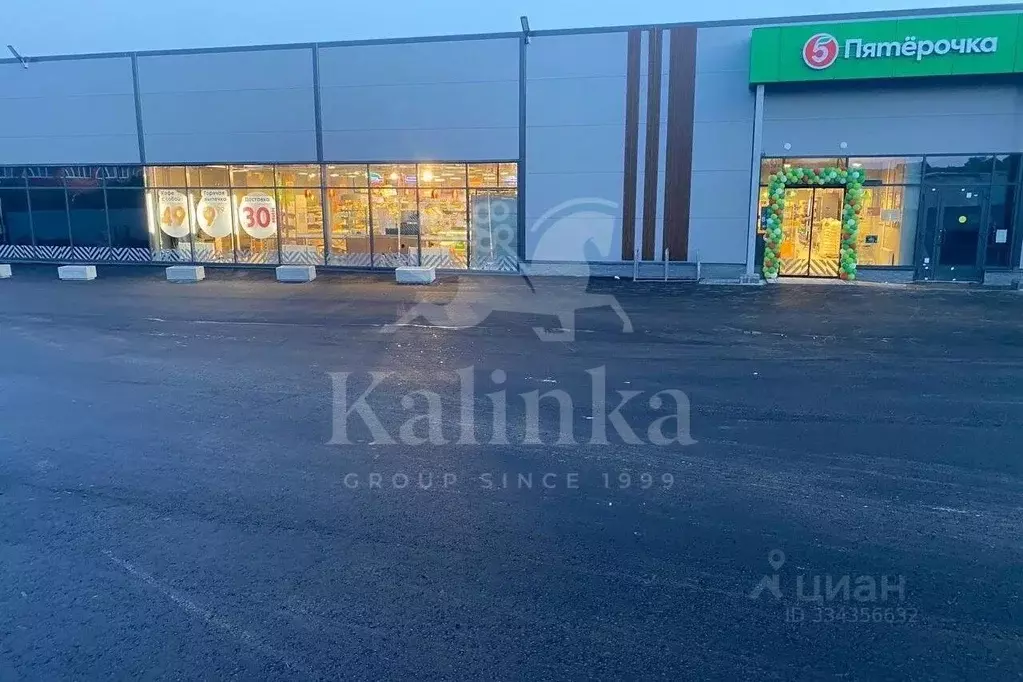 Помещение свободного назначения в Московская область, Чехов ... - Фото 1