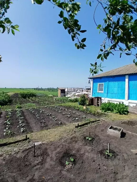 Дом в Воронежская область, Репьевский район, Истобинское с/пос, с. ... - Фото 2