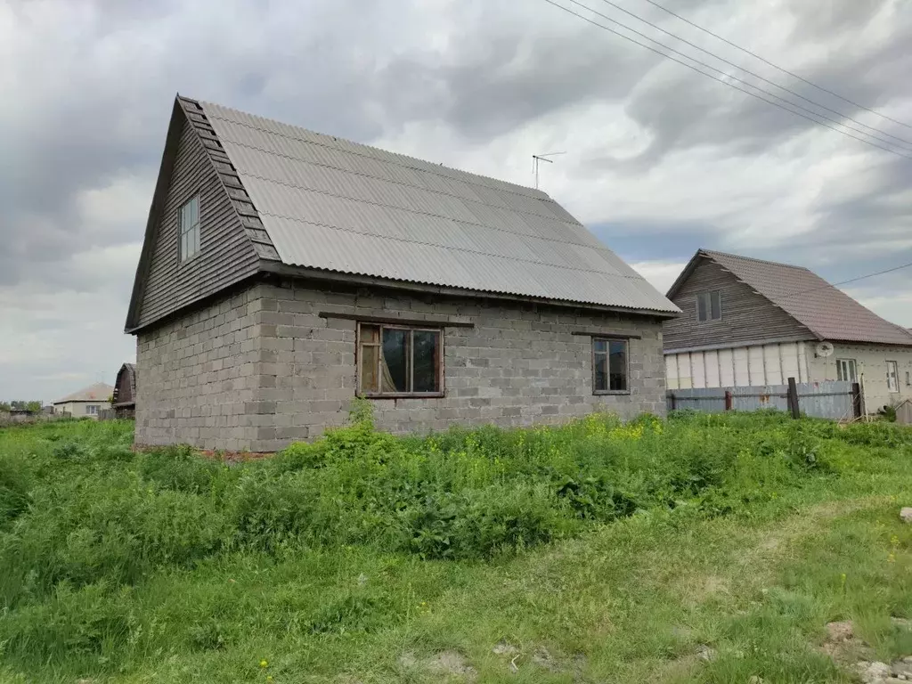 Дом в Алтайский край, Павловский район, с. Черемное ул. Дружбы, 22 (88 ... - Фото 0