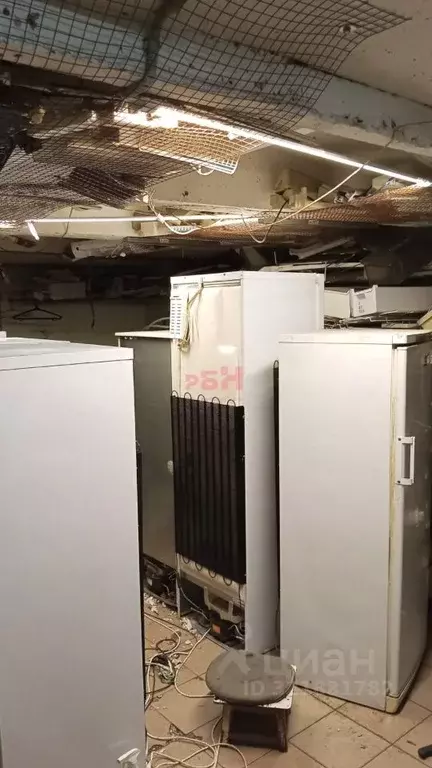 Помещение свободного назначения в Воронежская область, Воронеж ул. ... - Фото 2