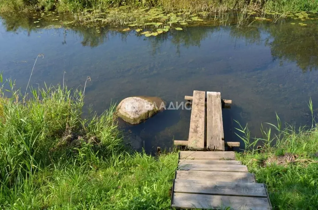 Участок в Владимирская область, Суздальский район, Селецкое ... - Фото 2
