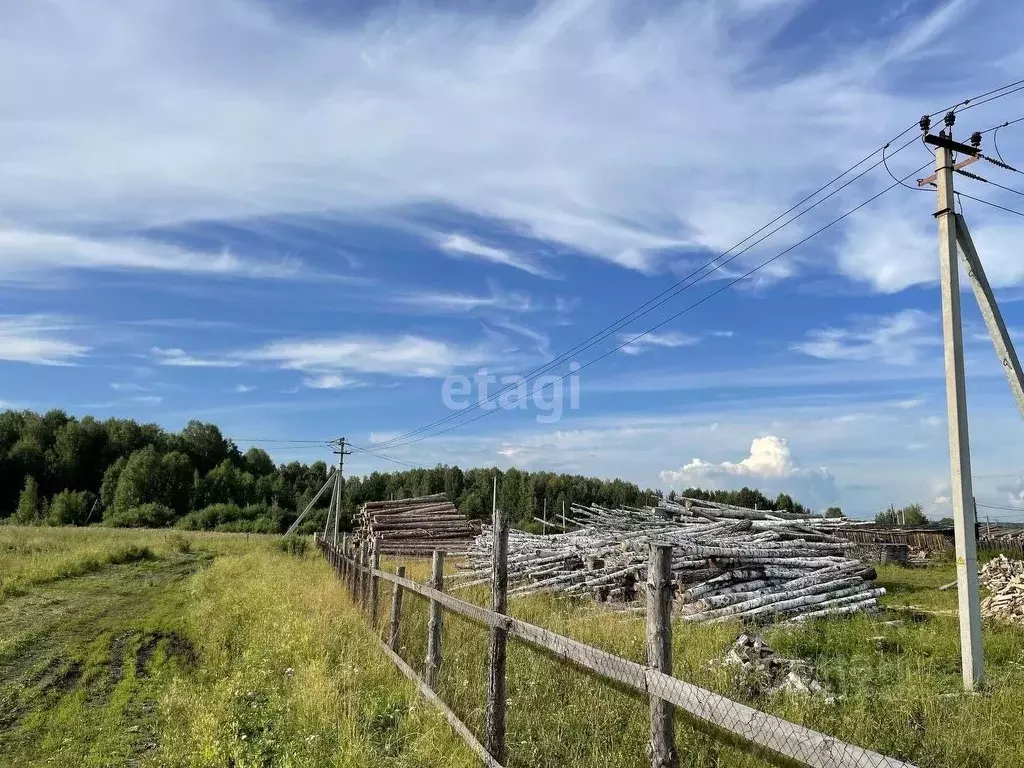 Участок в Свердловская область, Слободо-Туринский район, ... - Фото 1