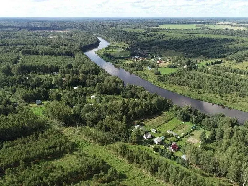 Участок в Тверская область, Ржевский муниципальный округ, д. Кокошкино ... - Фото 2